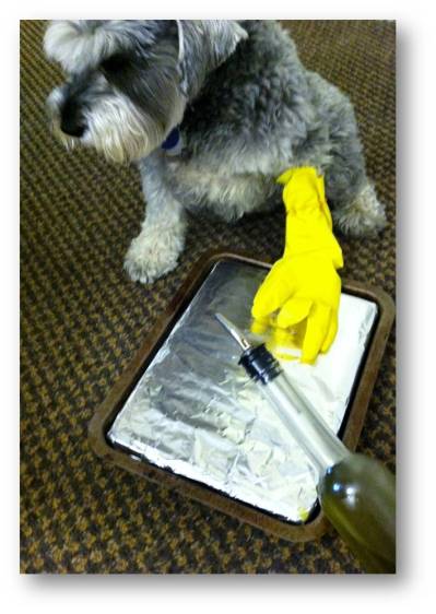 Schazam, who is more conscientious about  sanitary cooking practices than Schnitzel, uses a glove when spreading oil on the baking sheet.